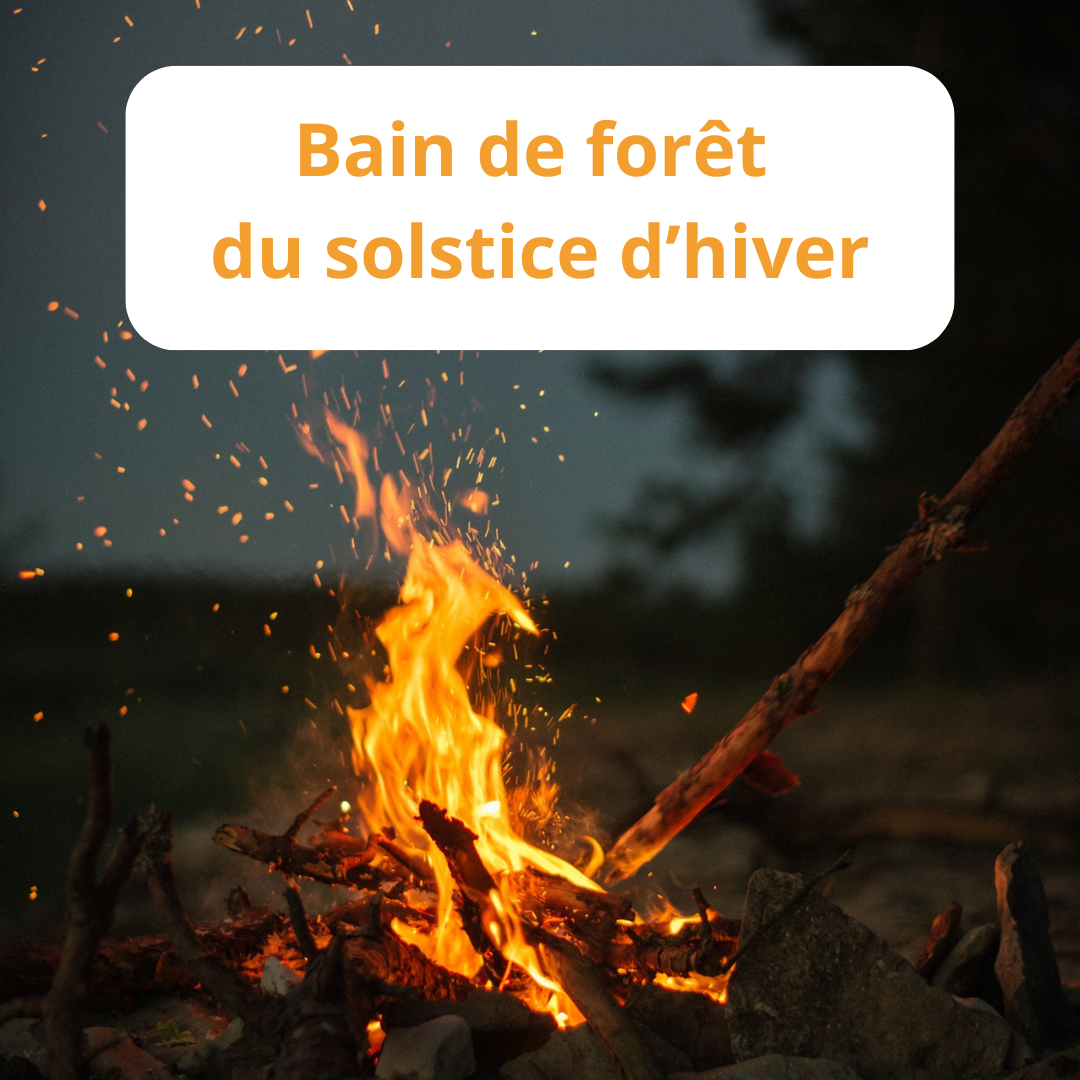 Bain de forêt du solstice d'hiver.png
